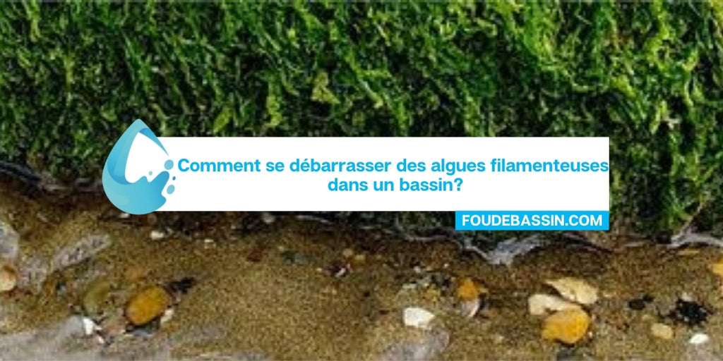 Comment se débarrasser des algues filamenteuses dans un bassin? —  FOUDEBASSIN.COM