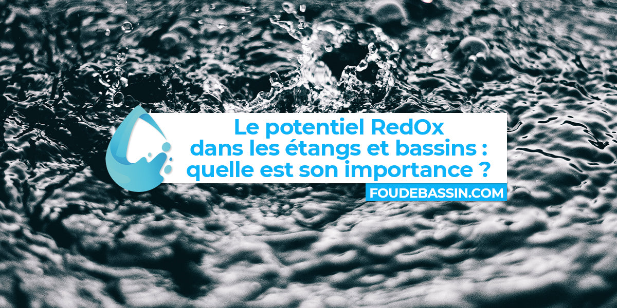 Le potentiel RedOx dans les étangs et bassins : quelle est son importa —  FOUDEBASSIN.COM