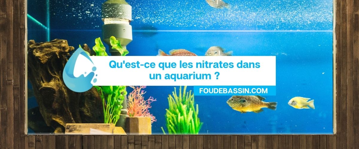 Qu'est ce que les nitrates dans un aquarium? — FOUDEBASSIN.COM