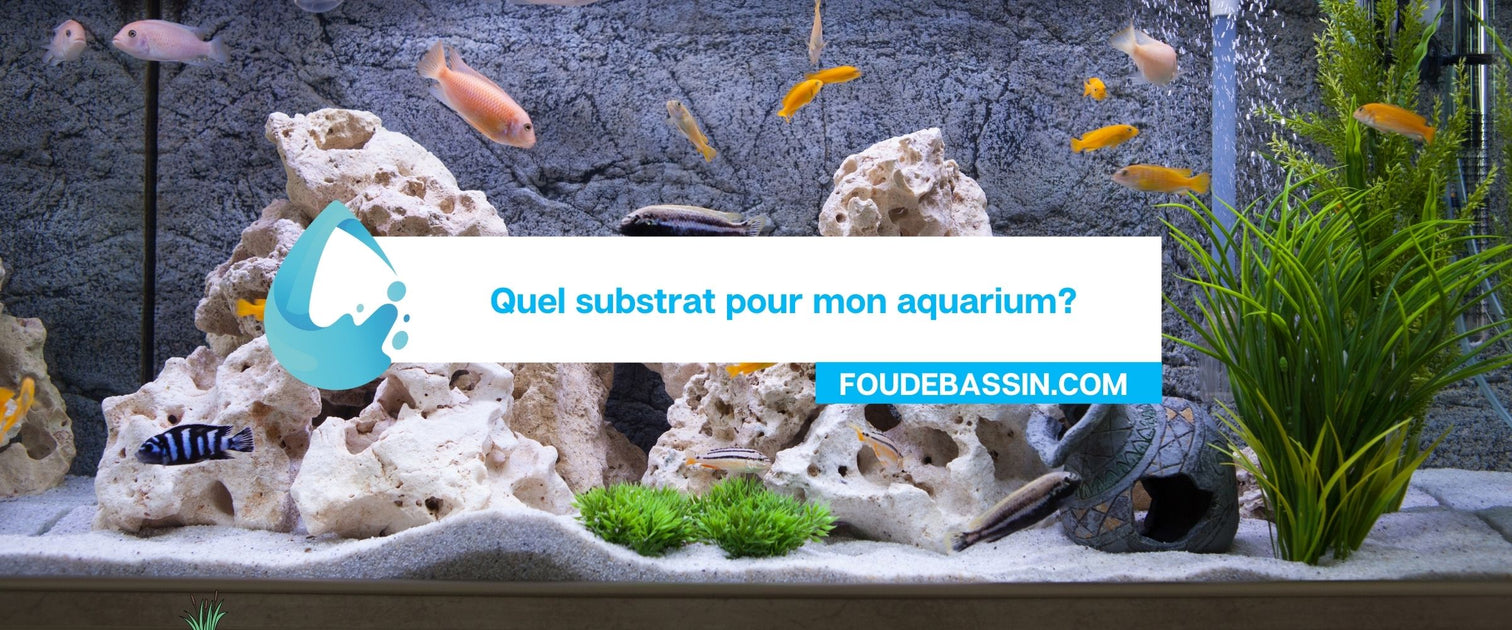 Quel substrat pour mon aquarium? — FOUDEBASSIN.COM