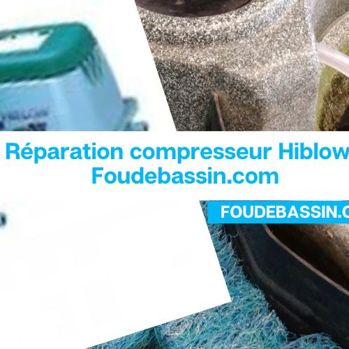 Réparation compresseur Hiblow - Foudebassin.com