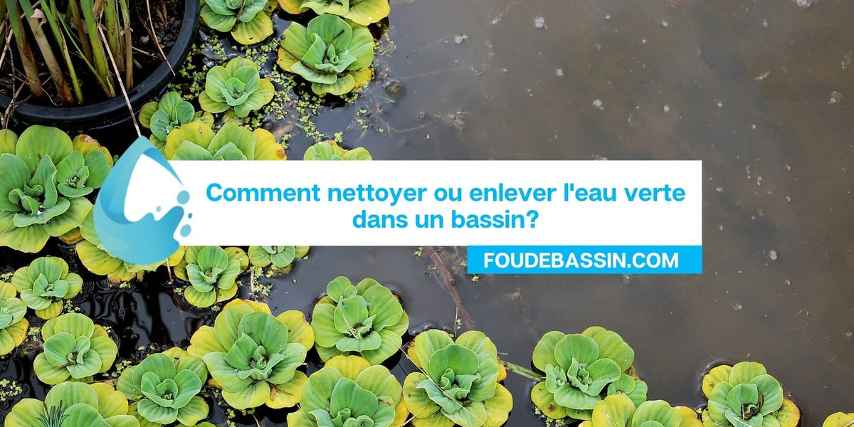 Comment nettoyer ou enlever l'eau verte dans un bassin? — FOUDEBASSIN.COM