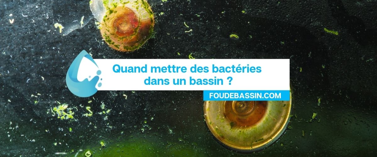 Quand mettre des bactéries dans un bassin ? — FOUDEBASSIN.COM
