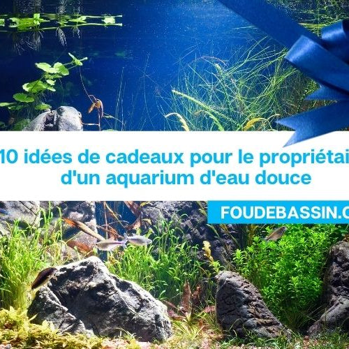 10 idées cadeaux pour le propriétaire d'un aquarium d'eau douce