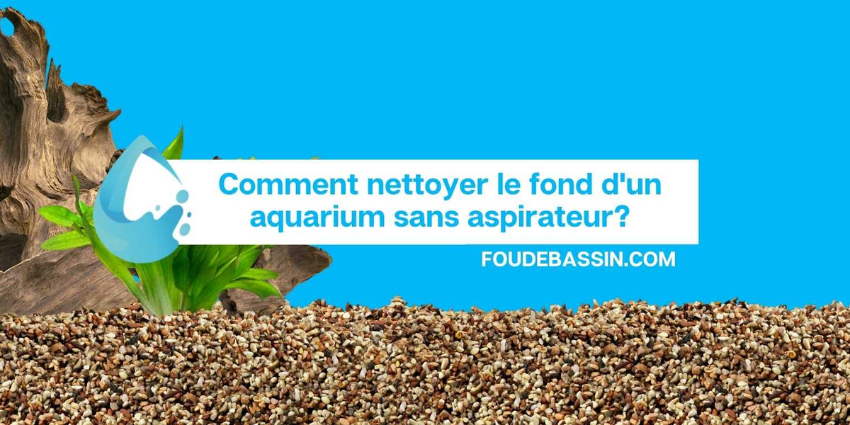 Comment nettoyer le fond d'un aquarium sans aspirateur? — FOUDEBASSIN.COM