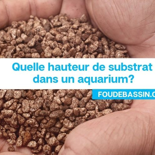 Quelle hauteur de substrat dans un aquarium?