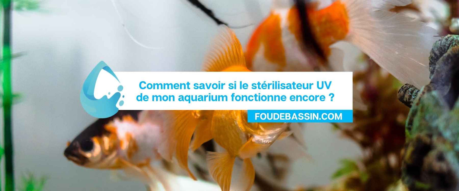 https://www.foudebassin.com/cdn/shop/articles/uv-aquarium-fonctionnement_1512x630.jpg?v=1647446389