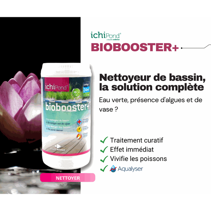 Biobooster+ pour 500m³ - Le nettoyeur du bassin - Contre les algues et —  FOUDEBASSIN.COM