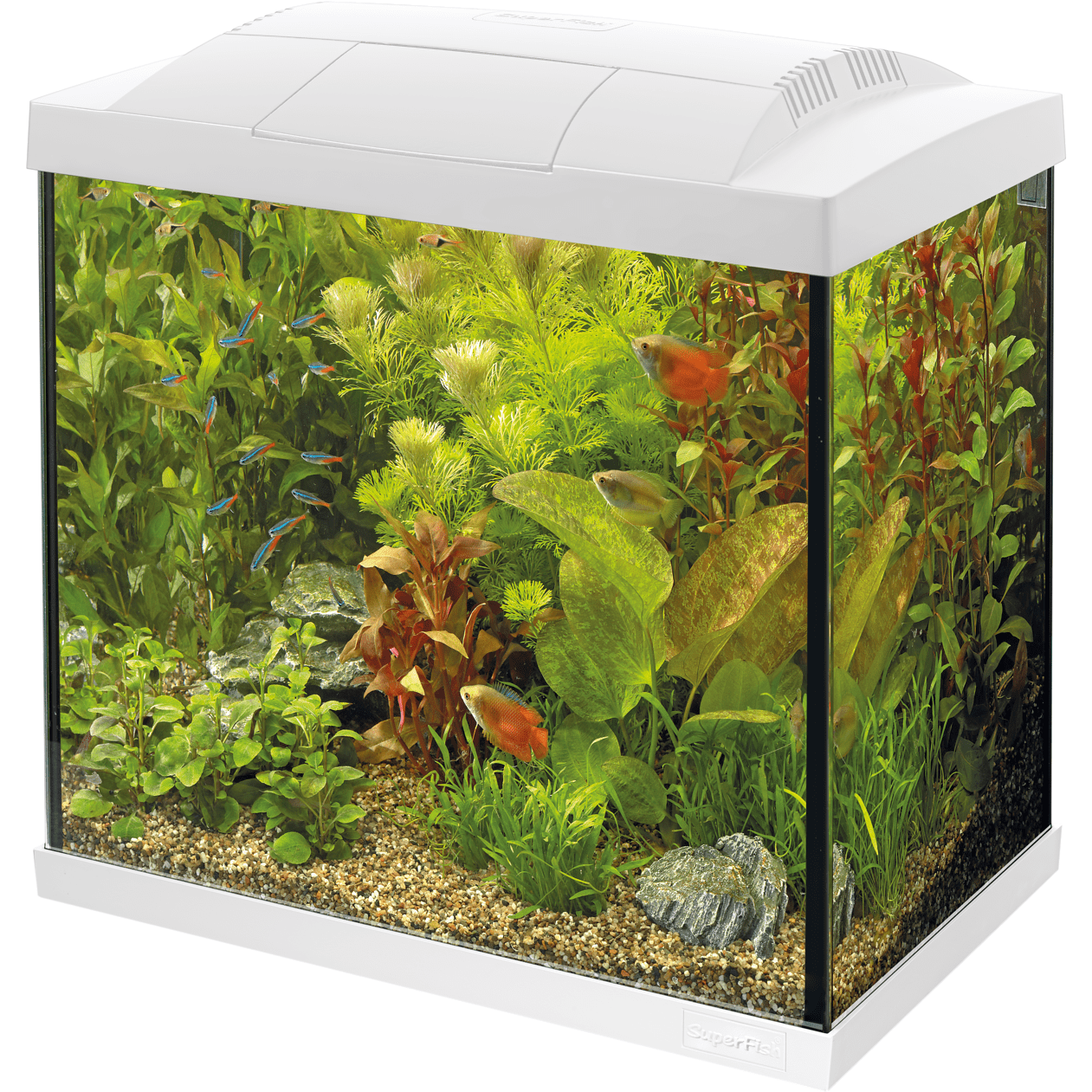 Aquarium Start 50 Tropical Kit Blanc - 45L - Superfish — FOUDEBASSIN.COM